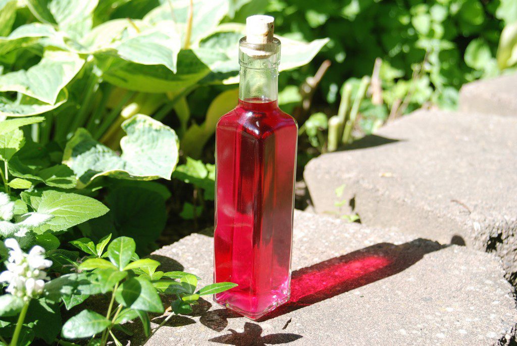 Chive Blossom Vinegar from The Coeur d'Alene Coop