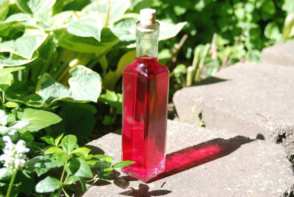 Chive Blossom Vinegar from The Coeur d'Alene Coop