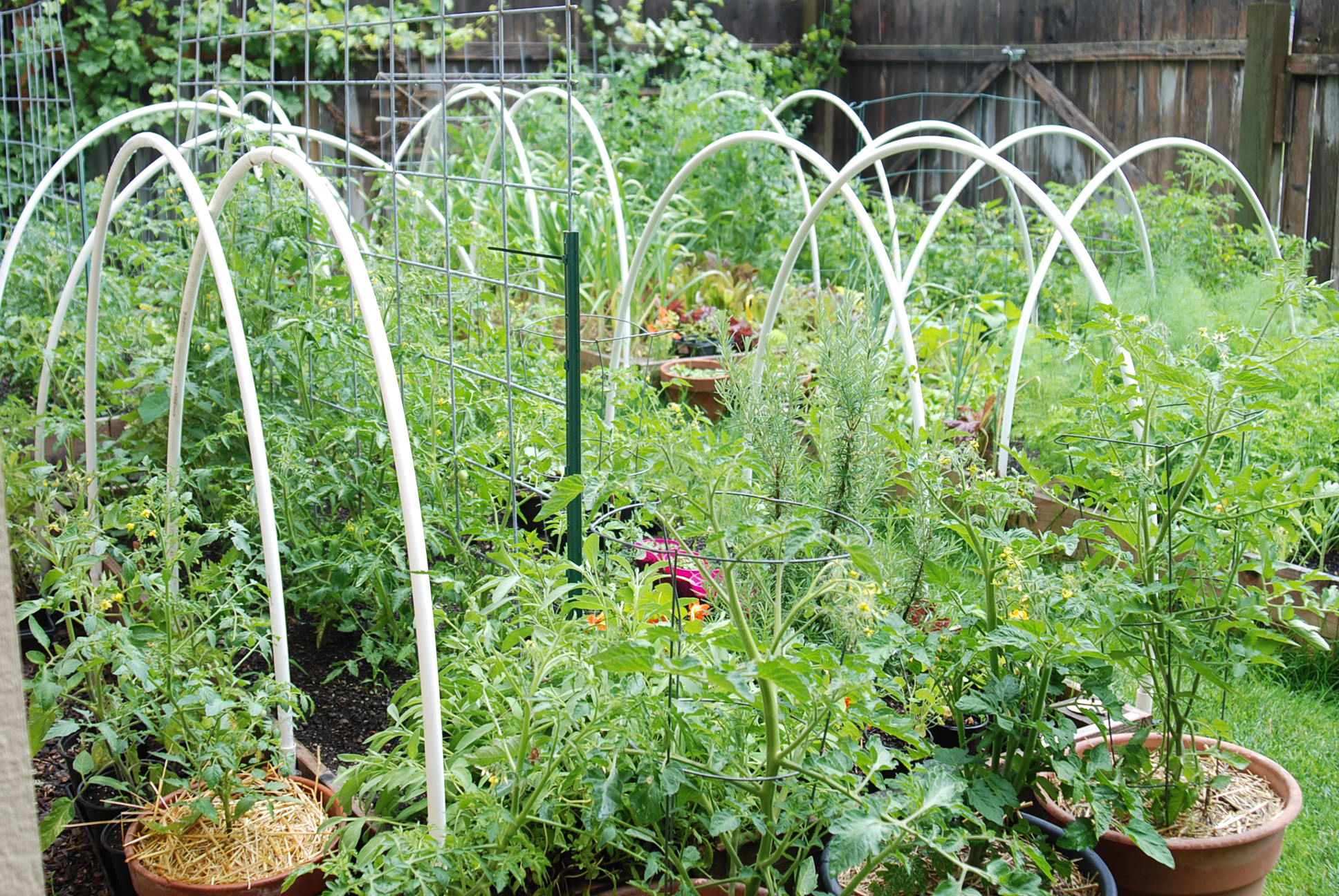 Why Break the Rules of Gardening