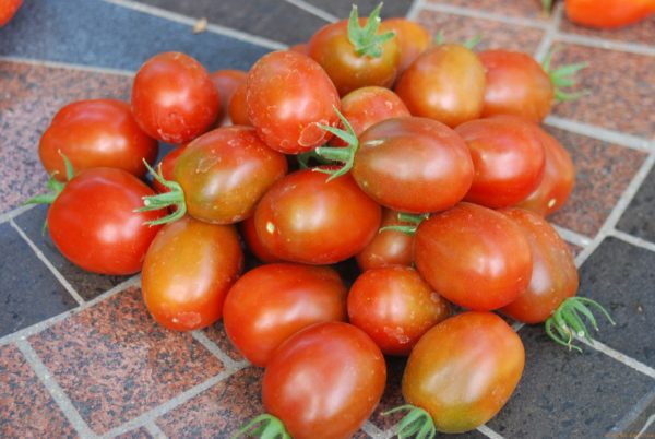 The Coeur d'Alene Coop Black Plum Tomatoes