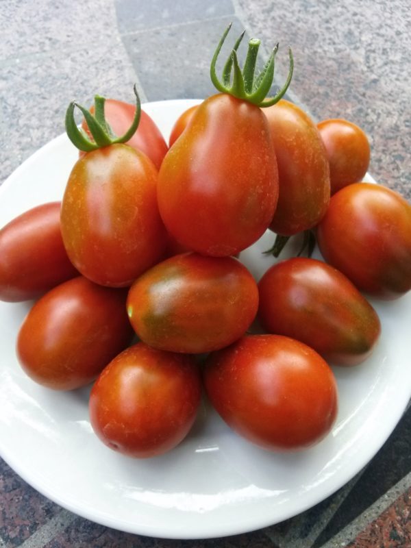 Black Plum Heirloom Cherry Tomato | The Coeur d'Alene Coop