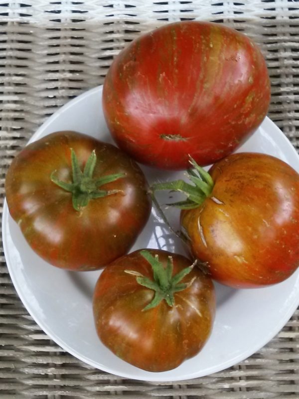 Barred Boar Heirloom Tomato | The Coeur d'Alene Coop