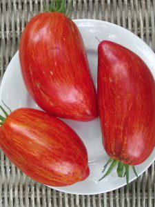 Striped Roman | The Coeur d'Alene Coop