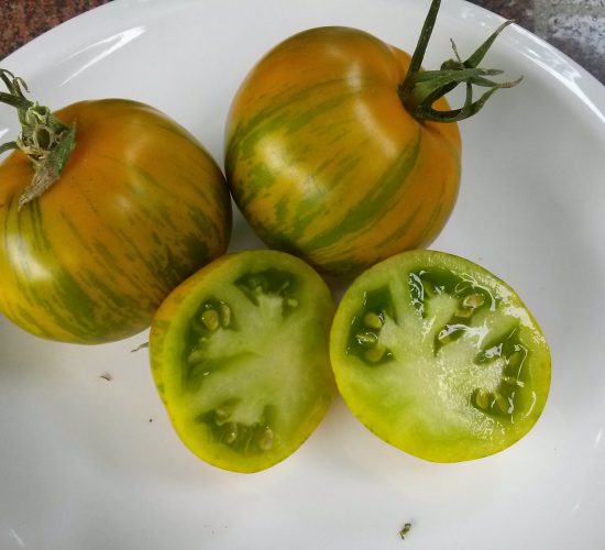 greenzebra