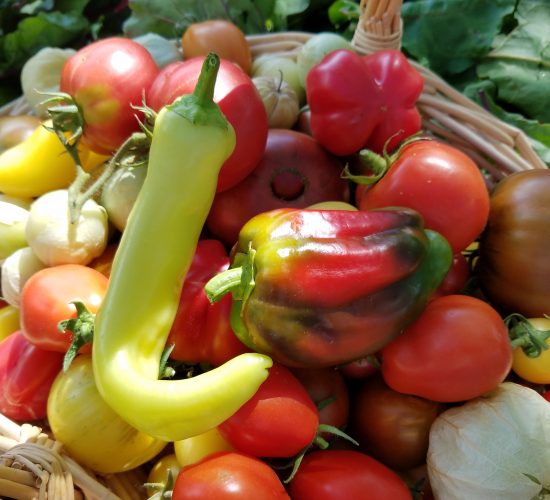mixed harvest 9_10_16