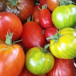 Heirloom Tomatoes