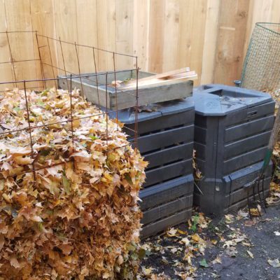 Leaf Mold: Solid Gold for Your Garden