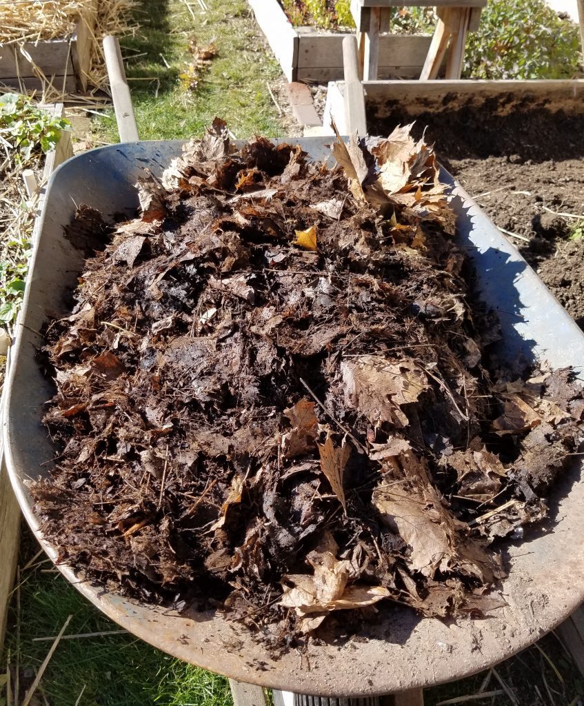 Leaf mold | The Coeur d Alene Coop