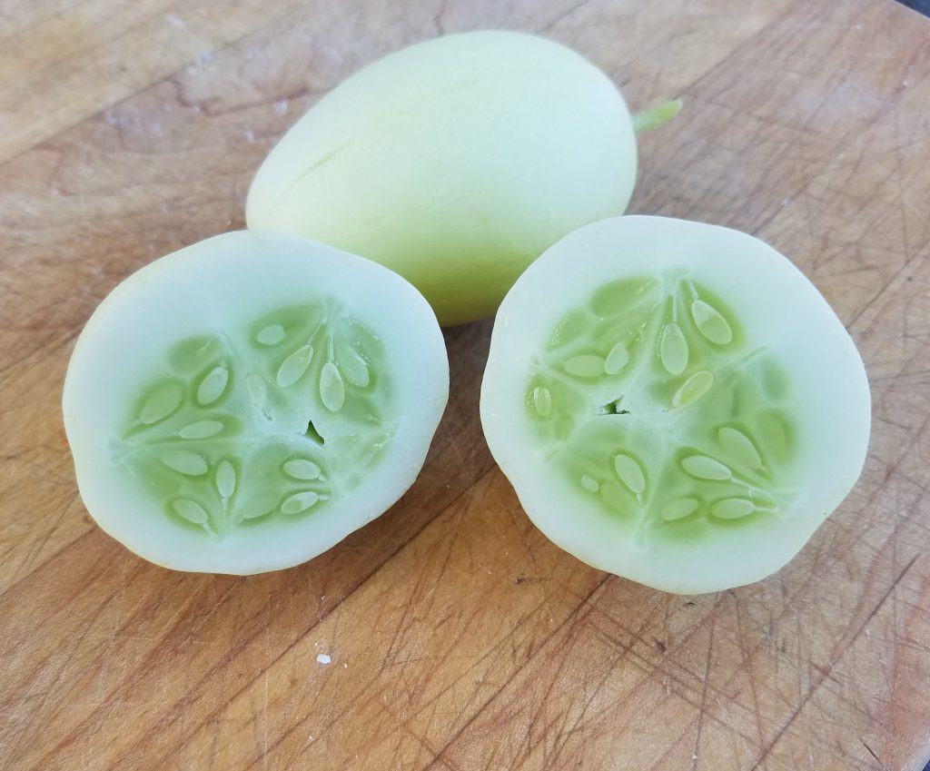 Dragon's Egg Cucumber | The Coeur d Alene Coop