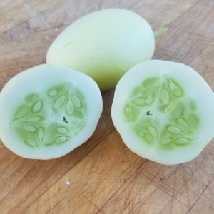 Dragon's Egg Cucumber | The Coeur d Alene Coop