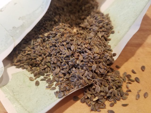 parsley seed