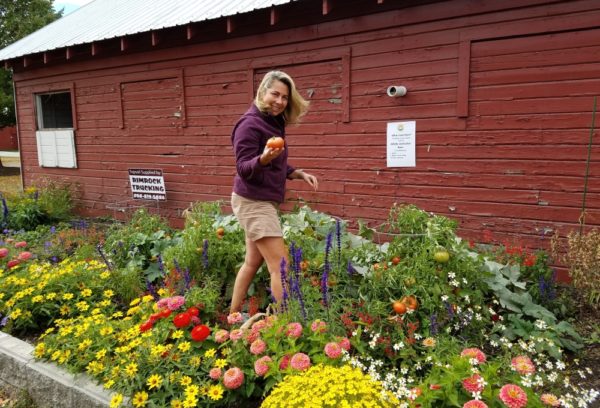 Sasha's Altai Tomato - Image 4