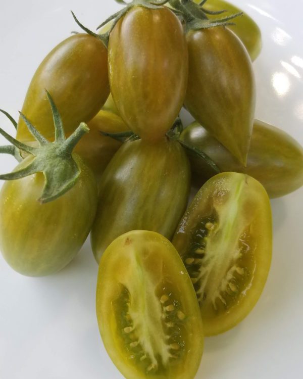 Lucky Tiger Cherry Tomato - Image 3