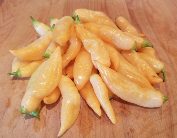 Sugar Rush Peach Hot Pepper - Image 3