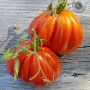 Belmonte Pear | The Coeur d Alene Coop