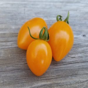 Creamsicle Grape Tomato | The Coeur d Alene Coop