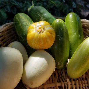 Heirloom Vegetables