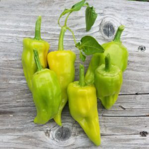 Chile de Agua Pepper | The Coeur d Alene Coop