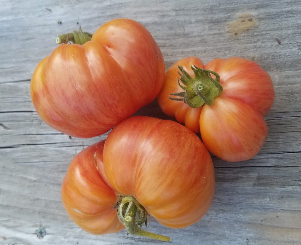 Vintage Wine | The Coeur d Alene Coop