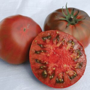 Paul Robeson Tomato | The Coeur d Alene Coop
