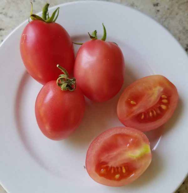 Thai Pink Egg Grape Tomato - Image 2