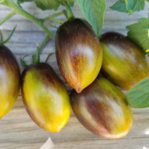 brad's atomic grape tomato | The Coeur d Alene Coop