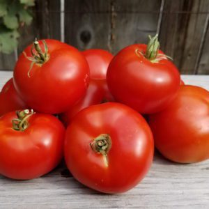 Grown from Organic Seed