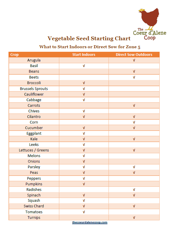 Seed Starting Indoors or Out