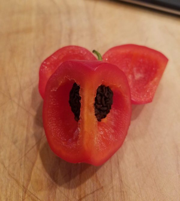 Manzano Black Seeds | The Coeur d Aleen Coop