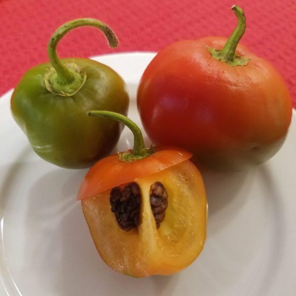 Manzano Chile | The Coeur d Alene Coop
