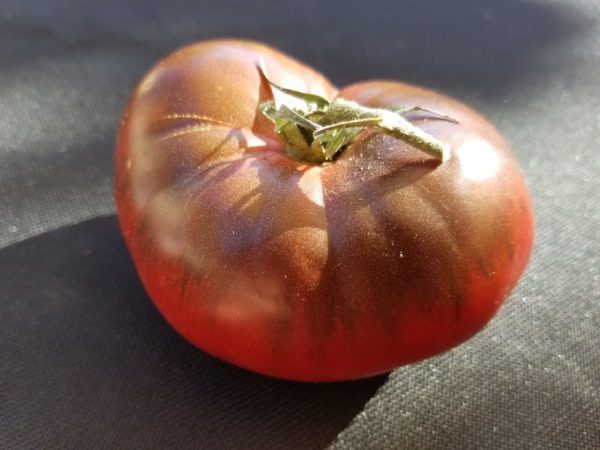 Black Brandywine Heirloom Tomato | The Coeur d Alene Coop