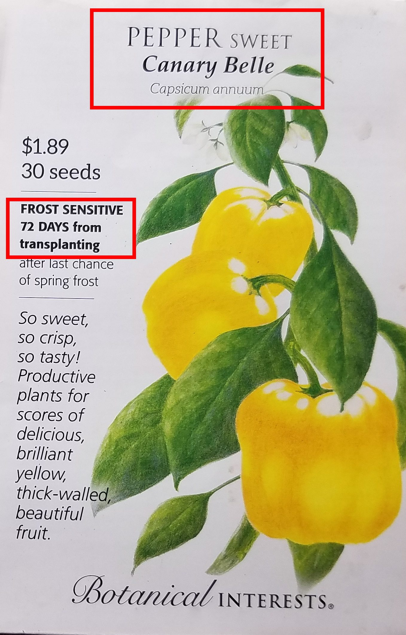 Seed packet