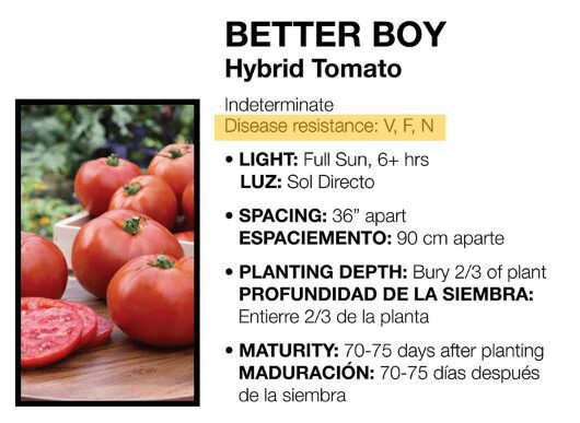 Disease resistant tomato plant tag | The Coeur d Alene Coop