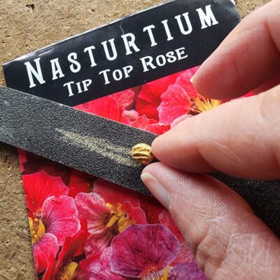 Seed Starting Essentials: How to Germinate Difficult Seed