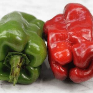 Doux d'Espagne Sweet Pepper