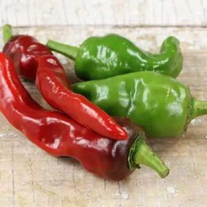 Melrose Sweet Pepper