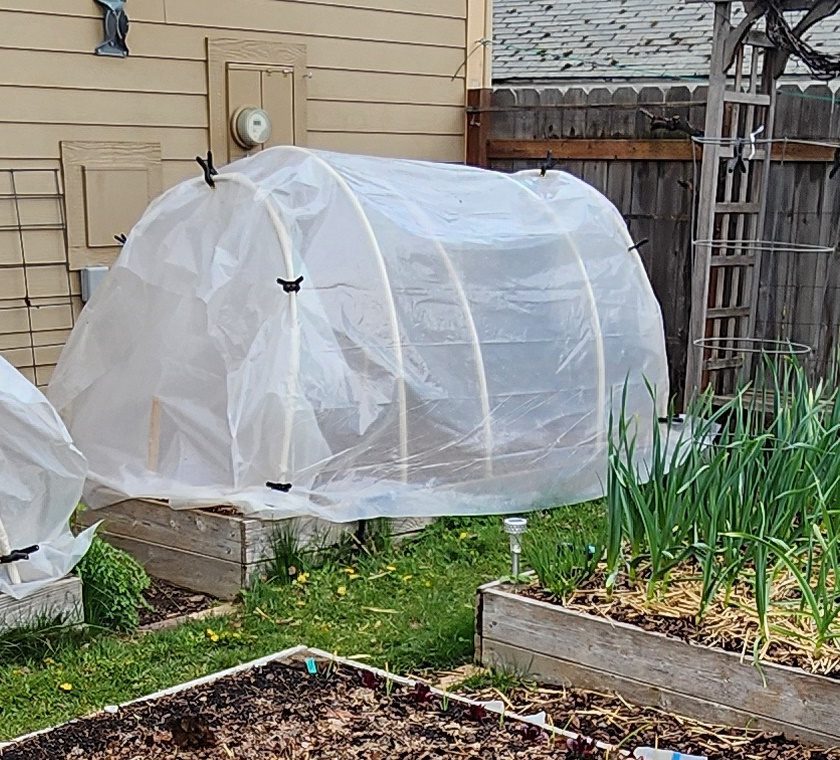 low tunnel over a raised bed