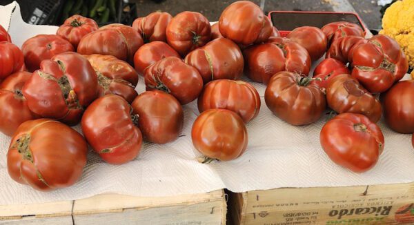 Valdichiana Italian Tomato - Image 3