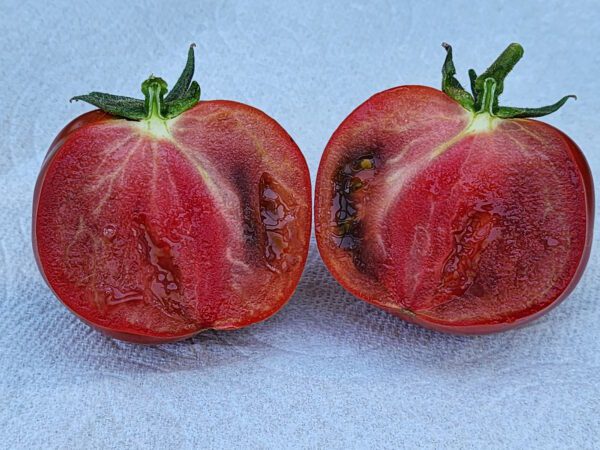 Valdichiana Italian Tomato - Image 4
