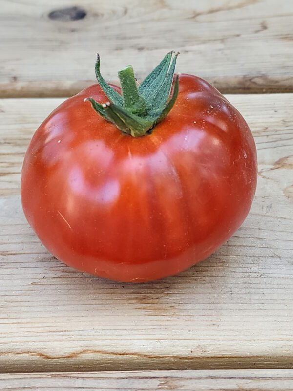 Valdichiana Italian Tomato - Image 2