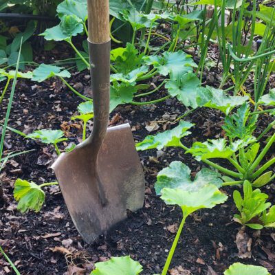 Dig Into The No-Dig Method Of Gardening for Better Soil