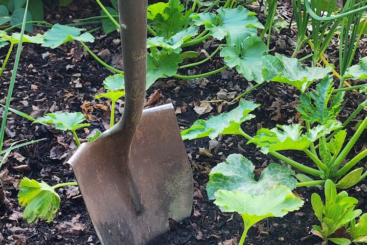 shovel in soil