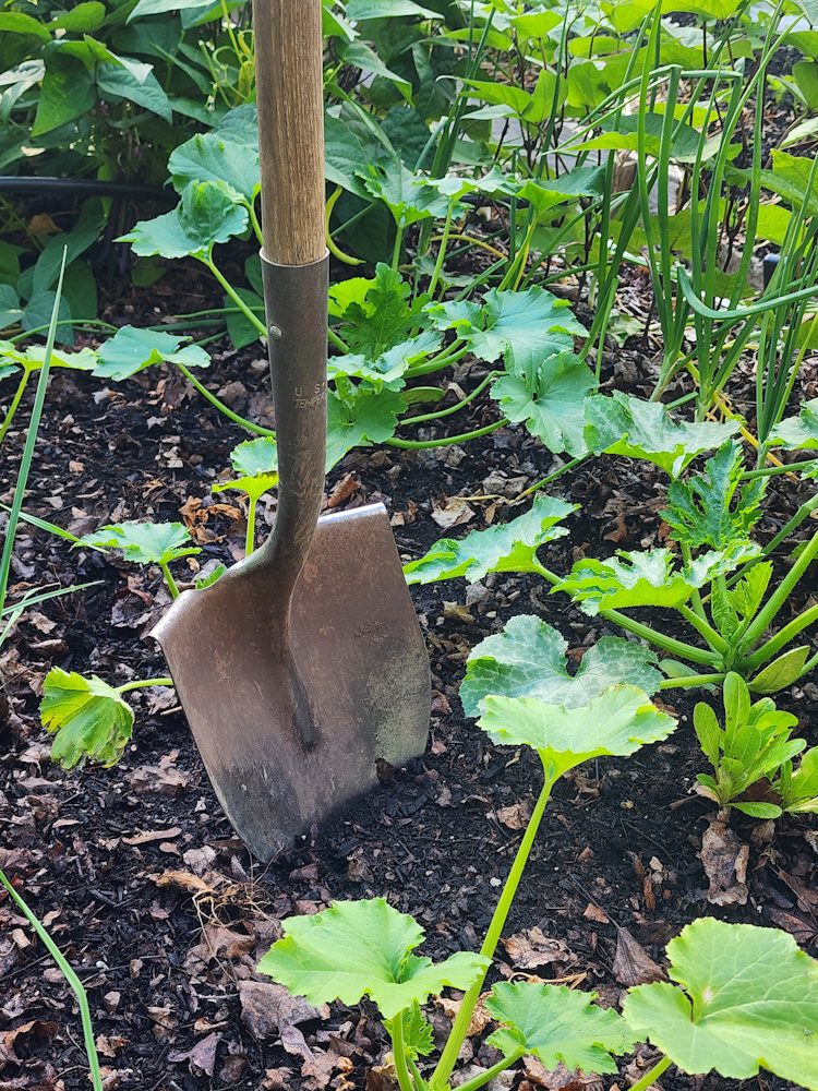 shovel in soil