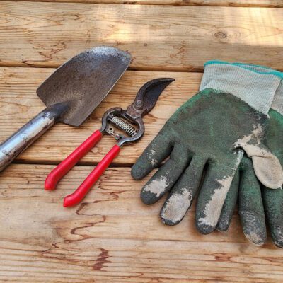How to Keep Yourself Safe in the Garden