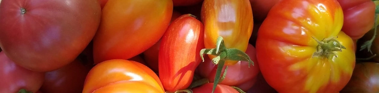 The Coeur d'Alene Coop Hero Image