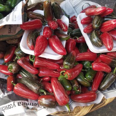 Chili Peppers: How to Turn Up the Heat in Your Garden