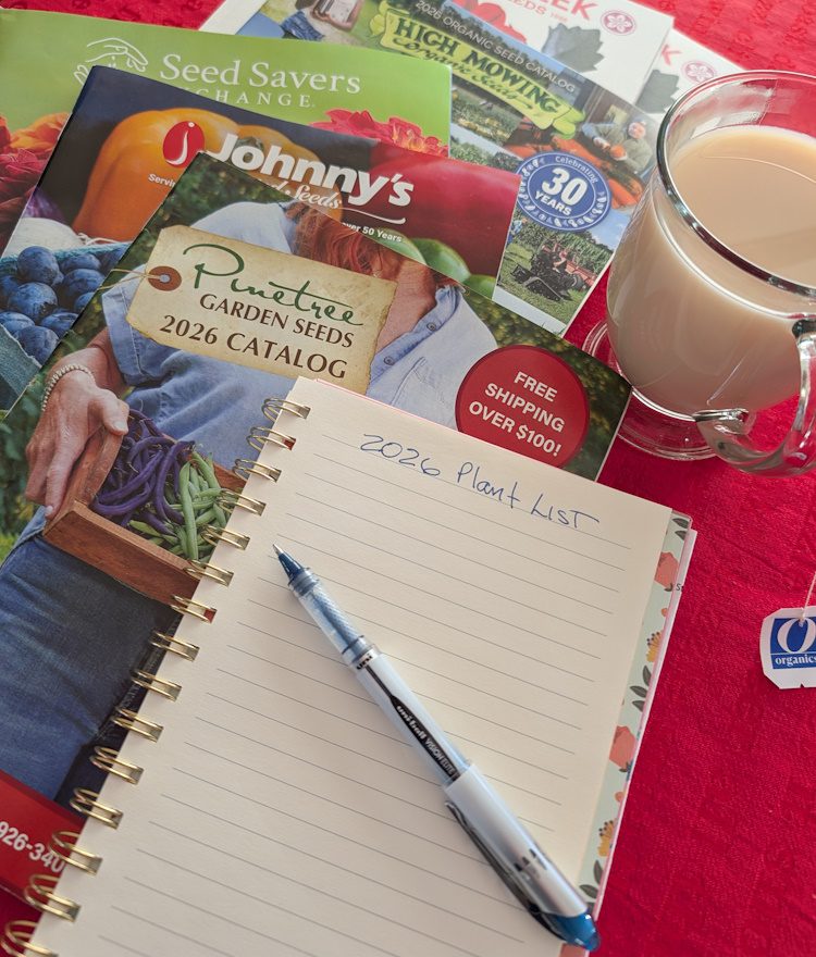 seed catalogs, garden journal and hot tea on a table