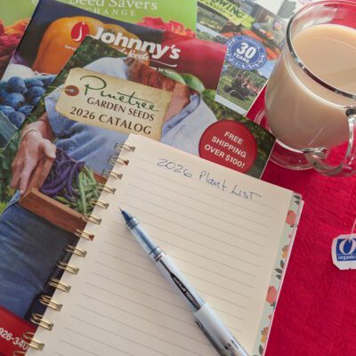 How to Turn Winter Garden Dreams Into Real Harvests