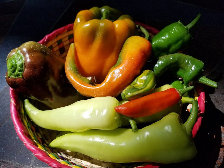 a basket of colorful assorted peppers