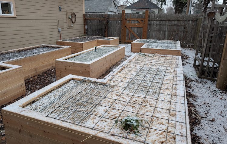 a group of raised beds in late fall with a dusting of snow